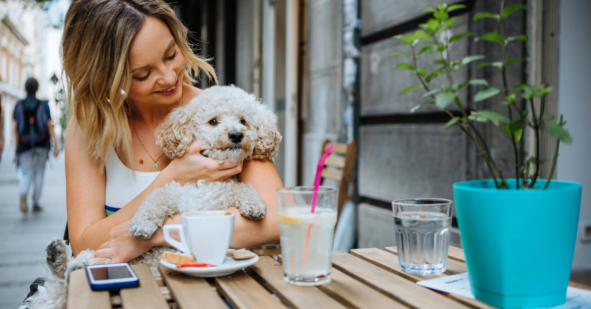 Do Pet Friendly Airbnbs Make Money?